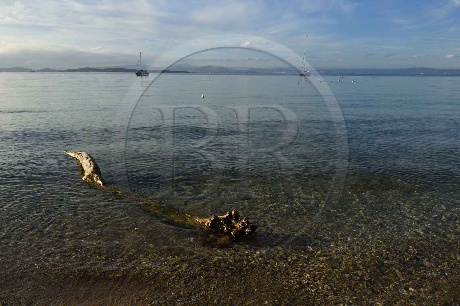 France, Var (83), Iles d'Hyères, parc national de Port Cros, Ile de Porquerolles, plage de la Courtade