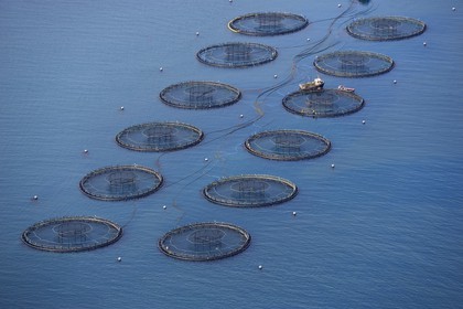 Royaume-Uni, Ecosse, Hébrides extérieures, Ile de North Uist, pisciculture en mer vers Hermetray (vue aérienne)