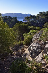 France, Bouches-du-Rhône (13), Cassis, Parc national des Calanques, Calanque de Port-Miou et les falaises du Cap Canaille en arrière plan (demande d'autorisation nécessaire avant publication)