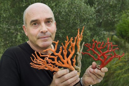 France, Corse-du-Sud (2A), Bonifacio, Ville Haute, Corail rouge de Méditerranée, le corailleur Jean-Philippe Giordano