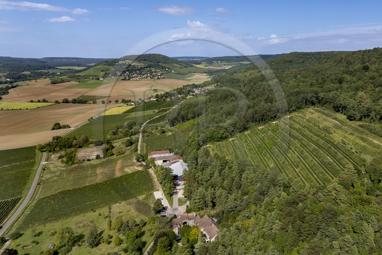 France, Côte-d'Or (21), vignoble des Hautes Côtes de Nuits, Villars-Fontaine, Domaine de Montmain (vue aérienne)