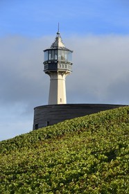 France, Marne (51), parc régional de la Montagne de Reims, Verzenay, vignobles de Champagne et musée du vin