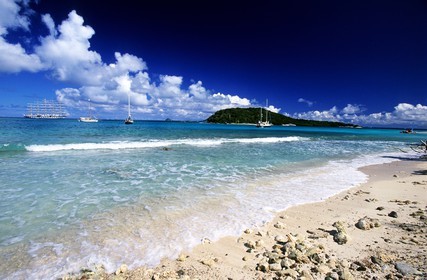 Caraïbes, Saint-Vincent et les Grenadines, archipel des Tobago Cays, plage d'une petite île inhabitée
