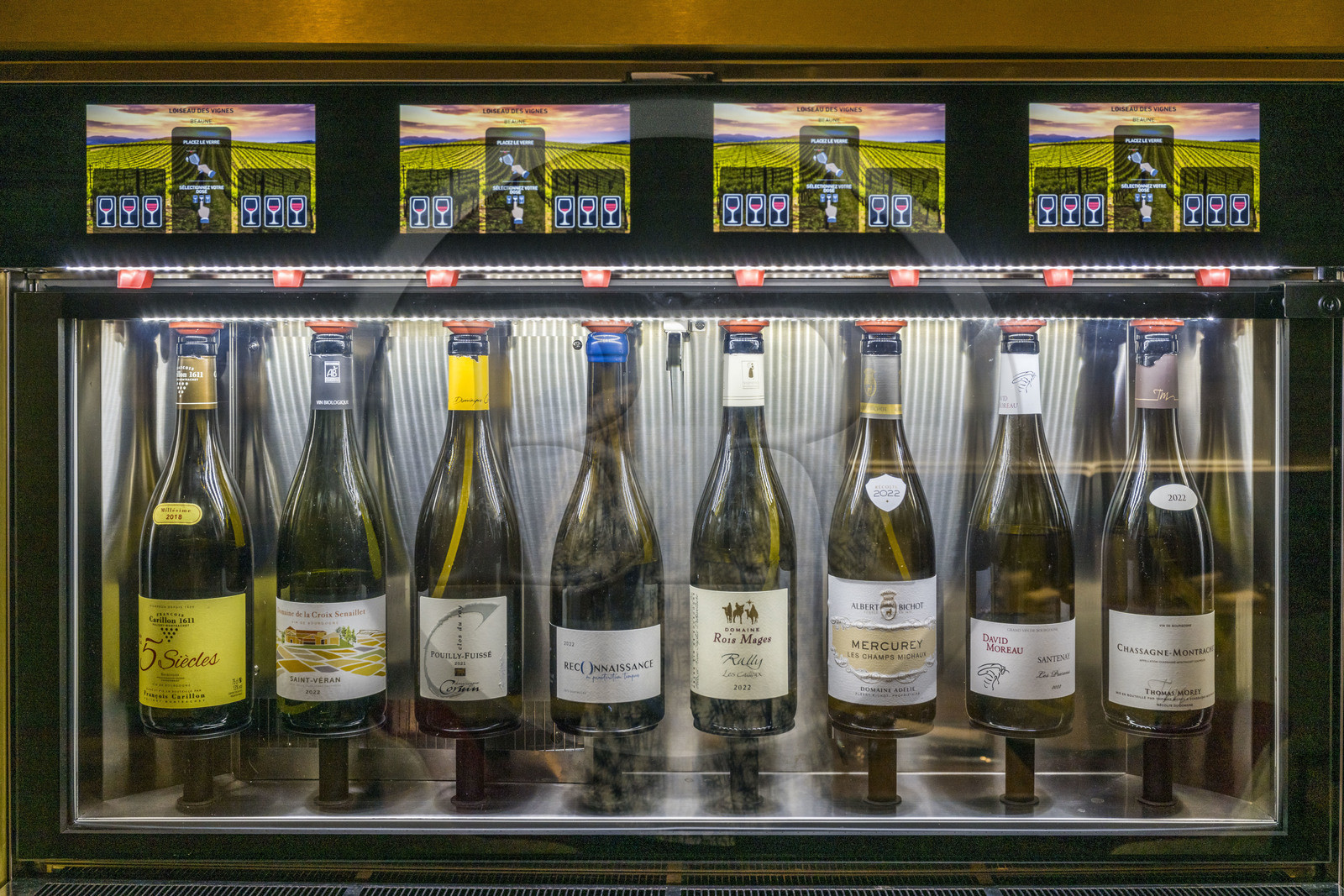 France, Côte-d'Or (21), les climats de Bourgogne classés Patrimoine Mondial de l'UNESCO, Beaune, Restaurant Loiseau des Vignes, distributeur de grands crus de Bourgogne au verre