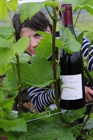 France, Côte d'Or (21), Vosne Romanée, la viticultrice bio Cécile Tremblay