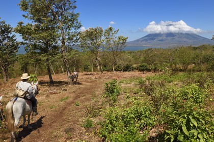 Nicaragua, Ile d'Ometepe sur le lac Nicaragua, cavaliers en randonnée et le volcan Conception (1610 m) toujours en activité en arrière plan