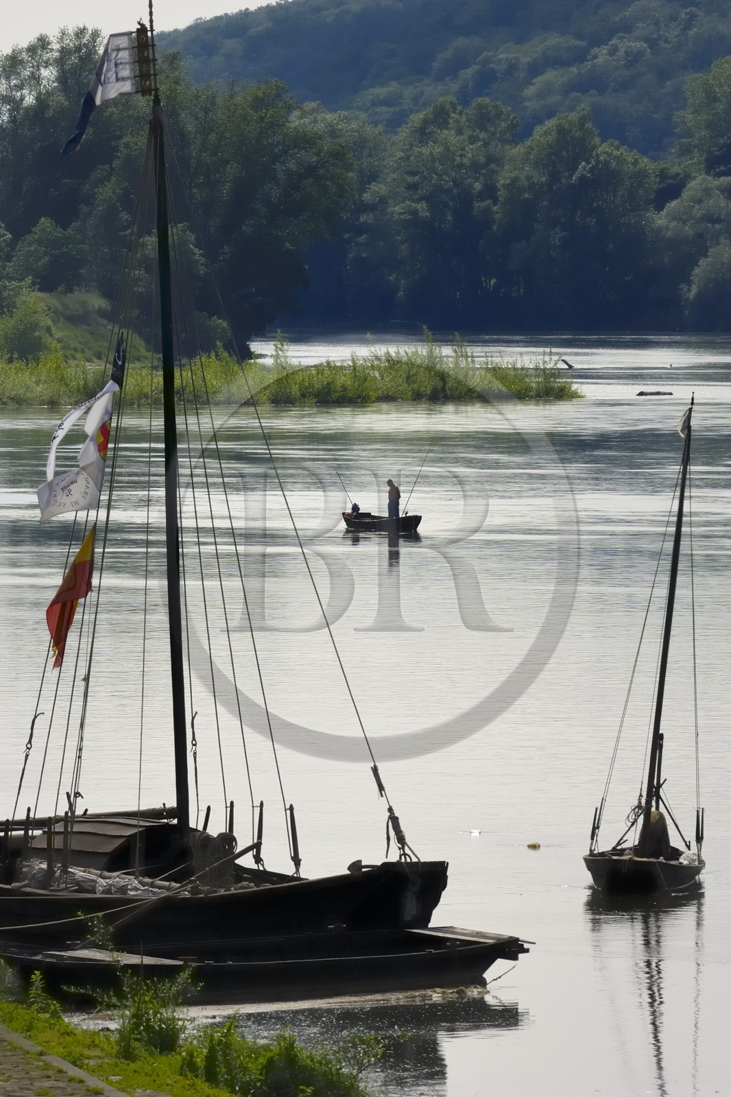 France, Indre et Loire (37), Vallée de la Loire classée Patrimoine Mondial de l' UNESCO, bords de Loire à Bréhémont