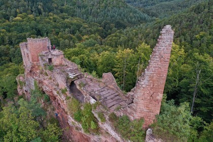 France, Bas-Rhin (67), Parc naturel r