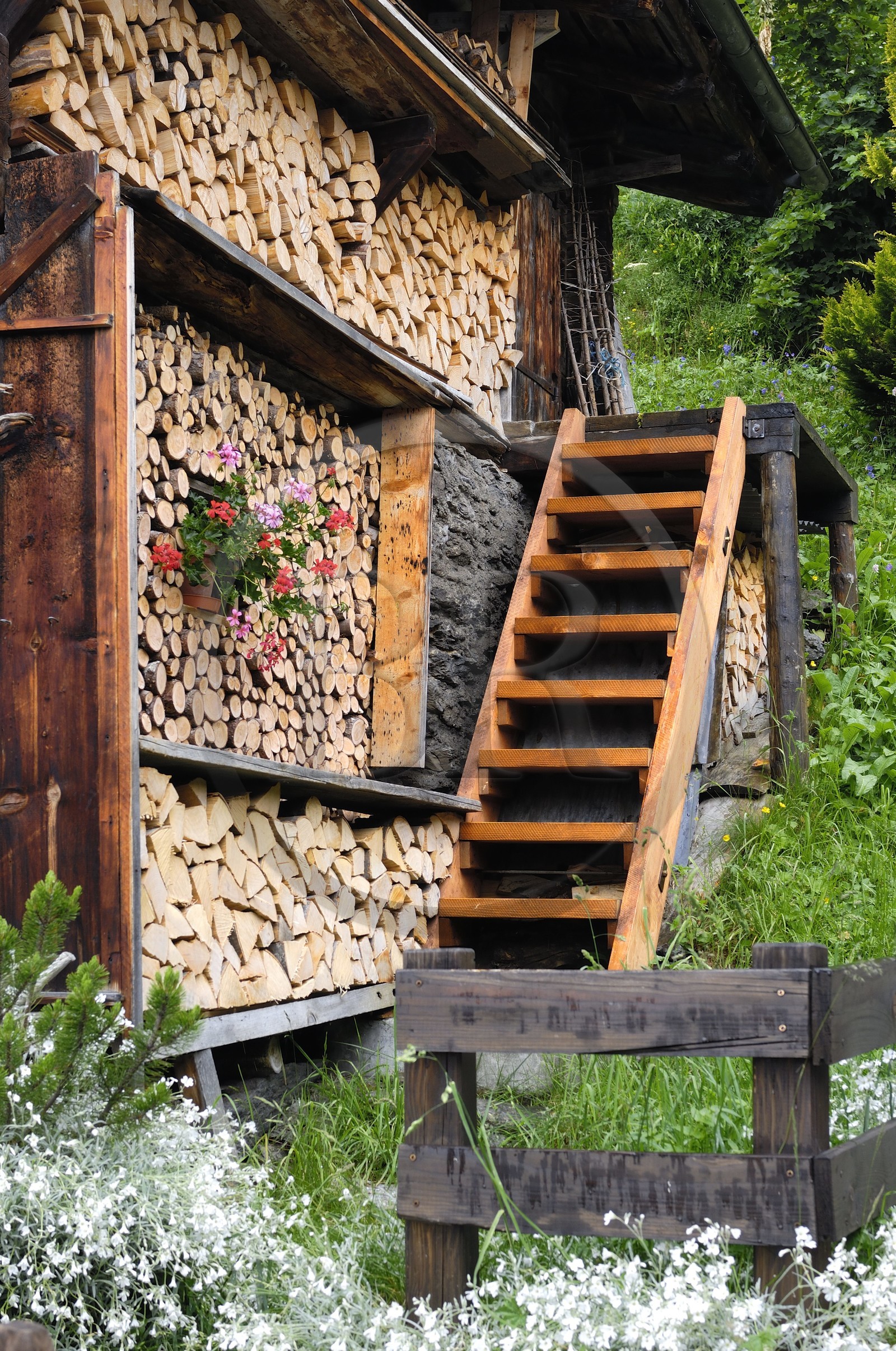 Suisse, Canton de Berne, Oberland Bernois, village de Mürren, stères de bois et fleurs