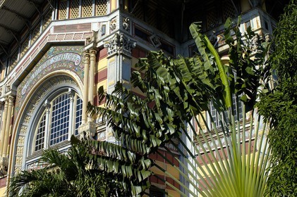 France, Martinique, Fort-de-France, la biblioth