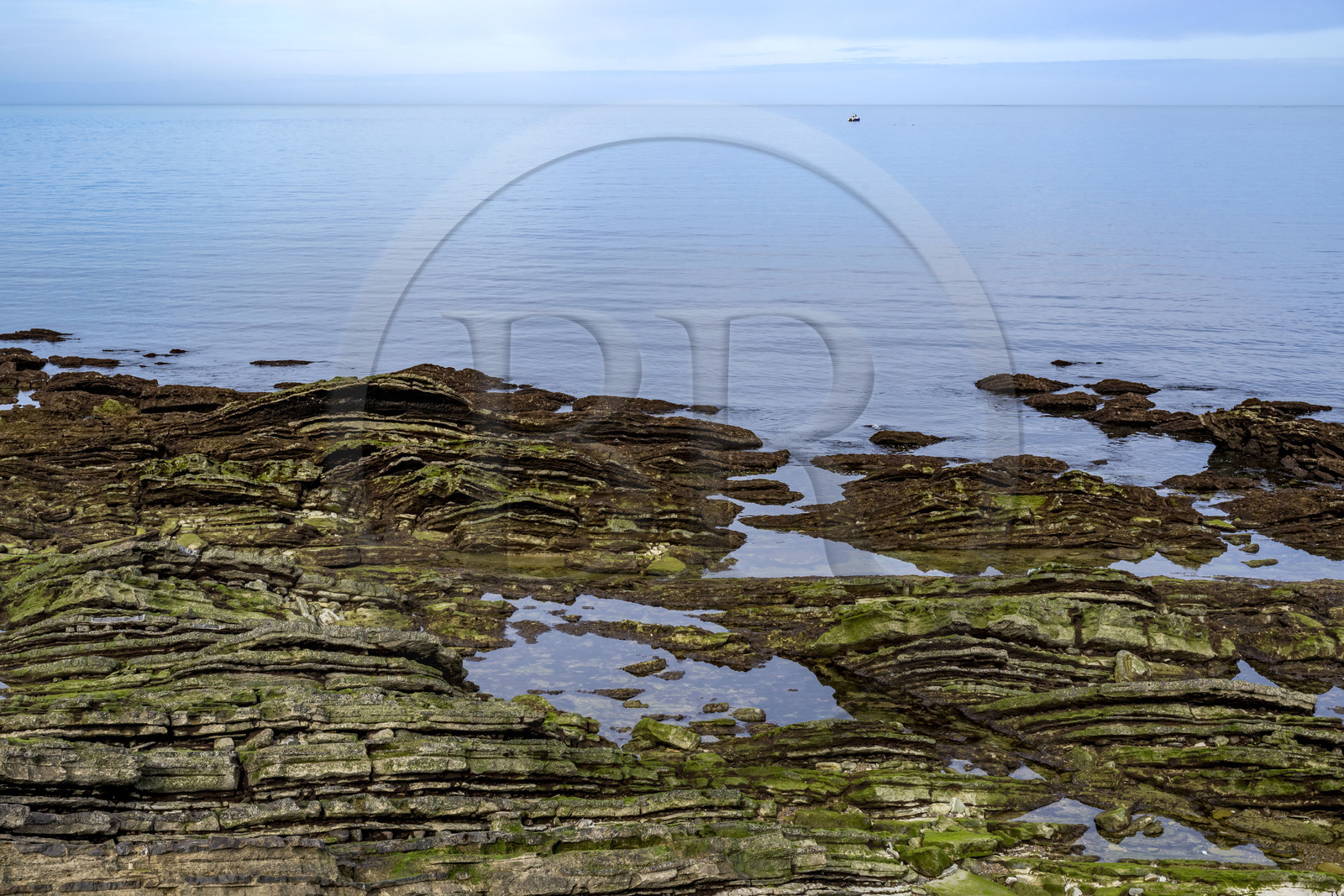 France, Pyrénées-Atlantiques (64), la côte du Pays-Basque, Guéthary, la cote rocheuse, roche de flysch