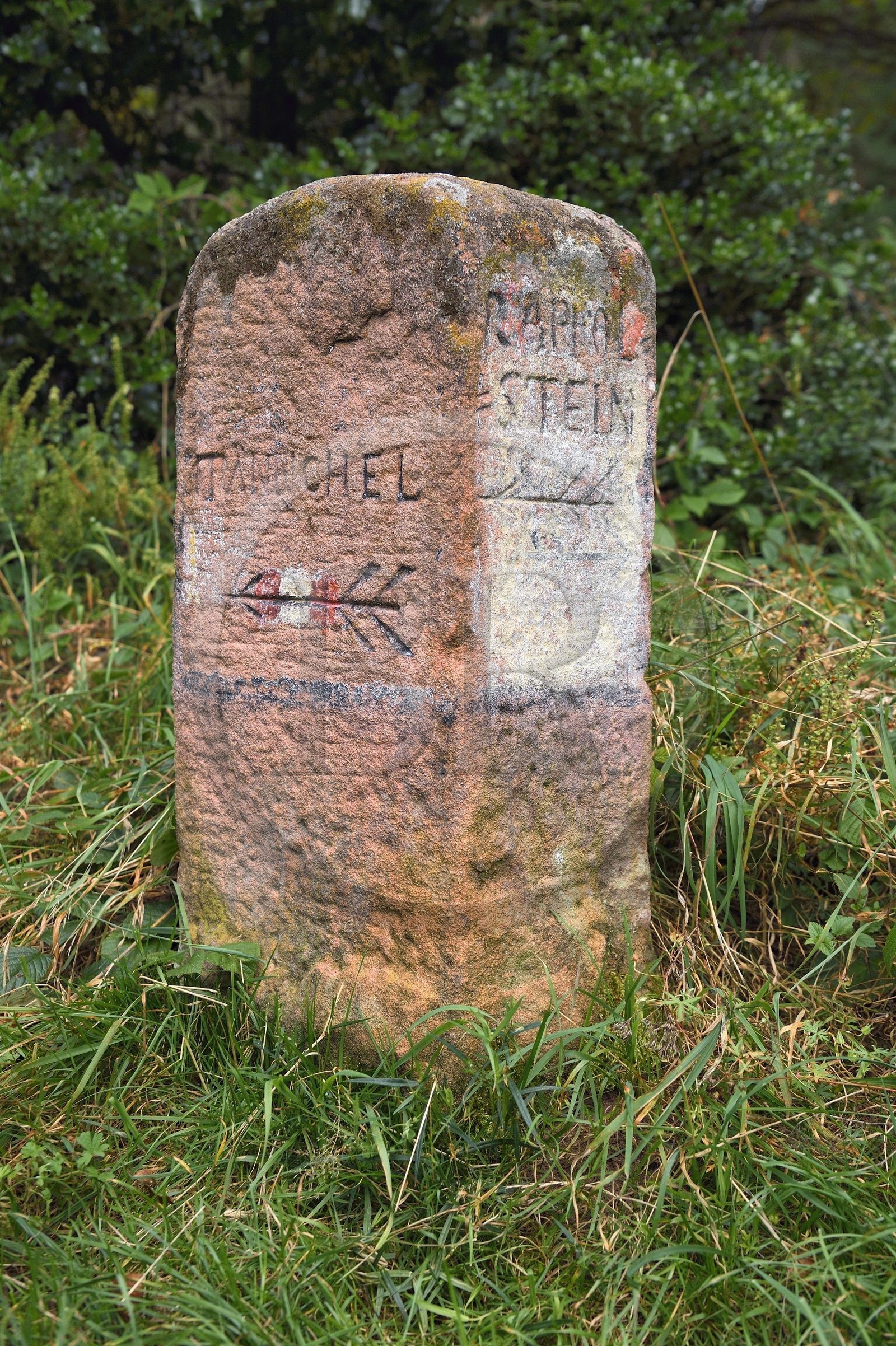 France, Haut-Rhin (68), Thannenkirch, randonnée dans le massif du Taennchel, borne de direction en grès