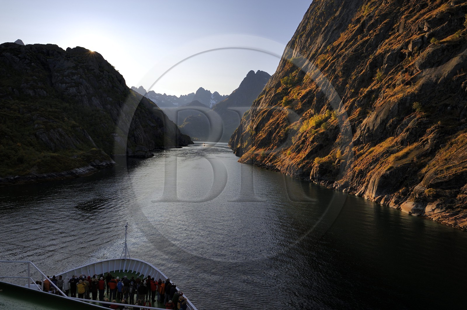 Norvège, Nordland, Iles Lofoten, l'Hurtigruten (l'express côtier) progressant dans le très etroit fjord Trollfjord en bordure du Raftsundet