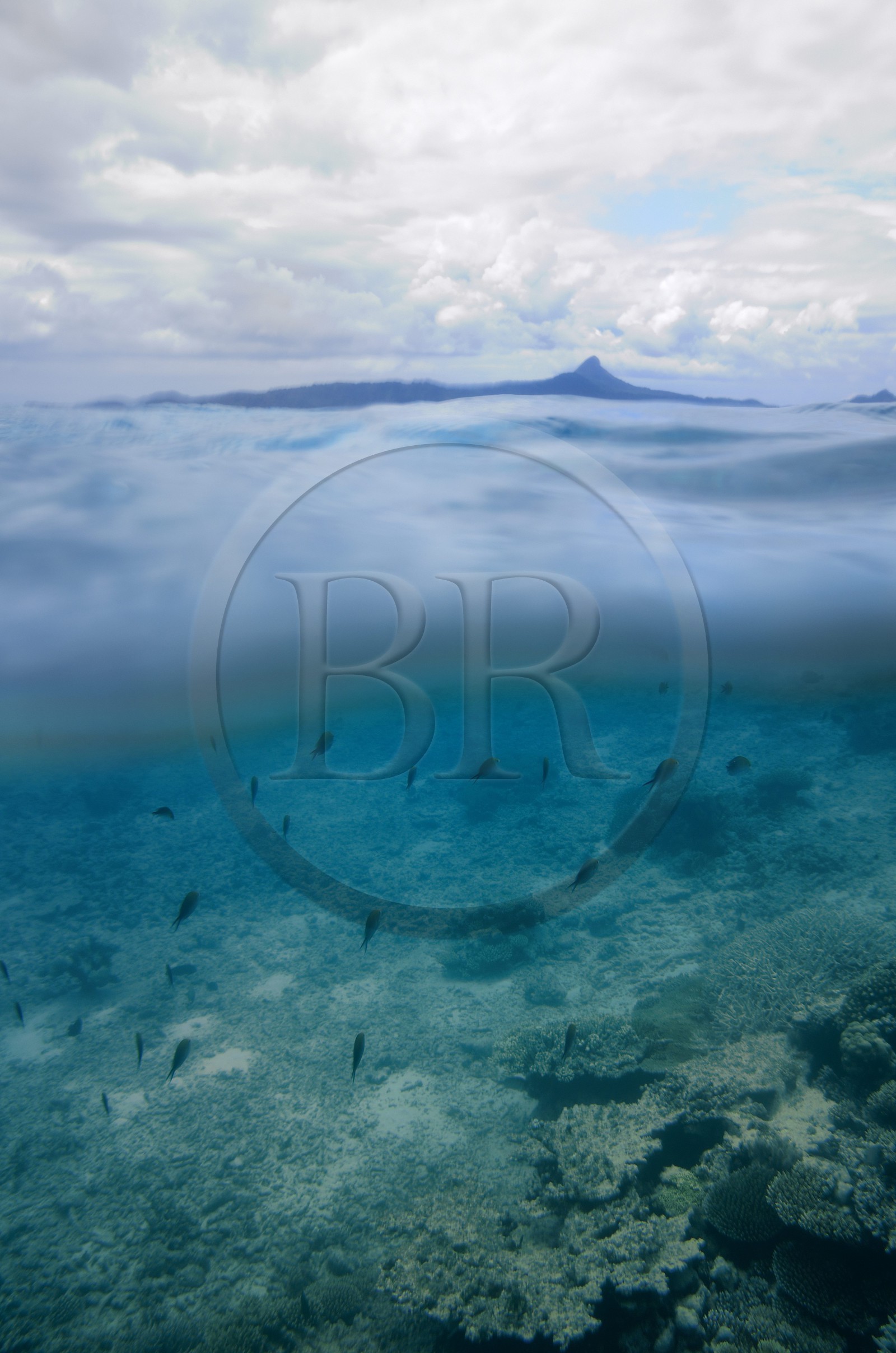 France, Ile de Mayotte, Grande-Terre, récif de corail dans la lagune face à la pointe Saziley  sur la cote Est