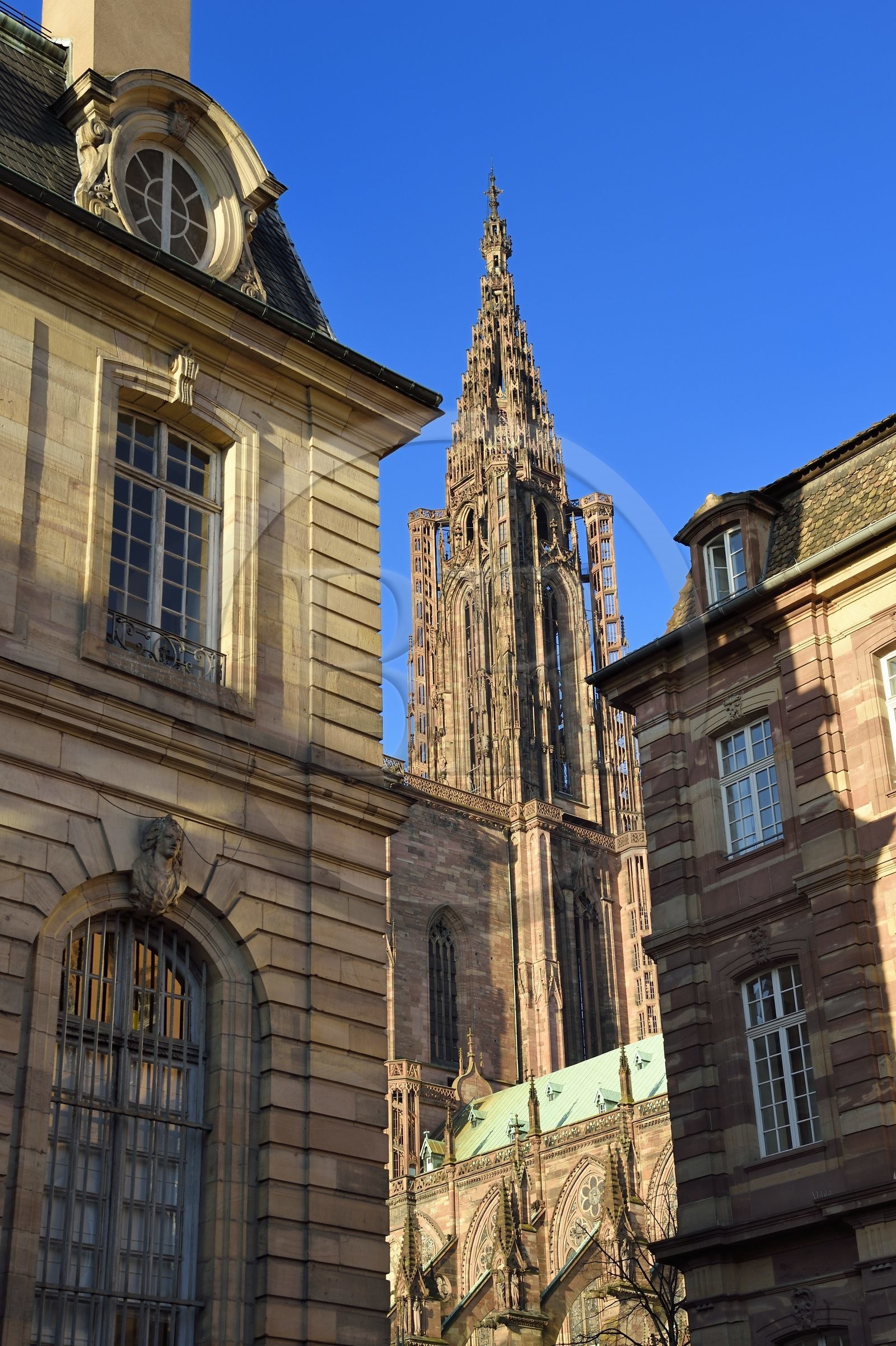 France, Bas-Rhin (67), Strasbourg, vieille ville classée au Patrimoine Mondial de l'UNESCO, la cathédrale Notre-Dame, la tour octogonale surmontée de sa flèche