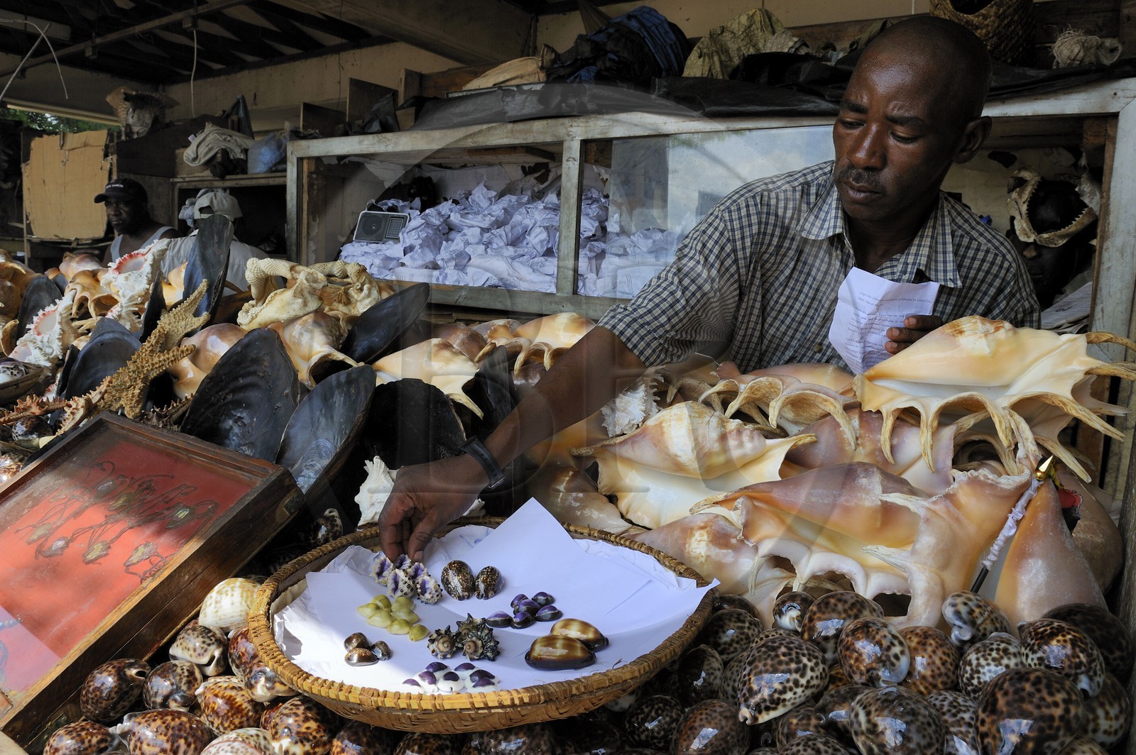 Tanzanie, Dar es-Salaam, vendeurs de coquillages & co au marché aux poissons de Kivukoni