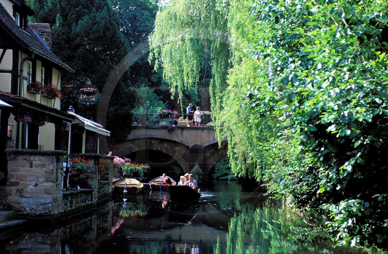 France, Haut-Rhin (68), Colmar, petite Venise, quartier de la Krutenau le Lauch: la campagne au centre ville