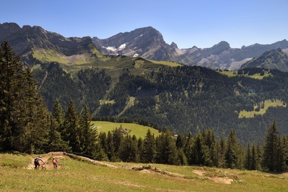 Suisse, canton de Vaud, Gryon, parcours dédié aux VTT