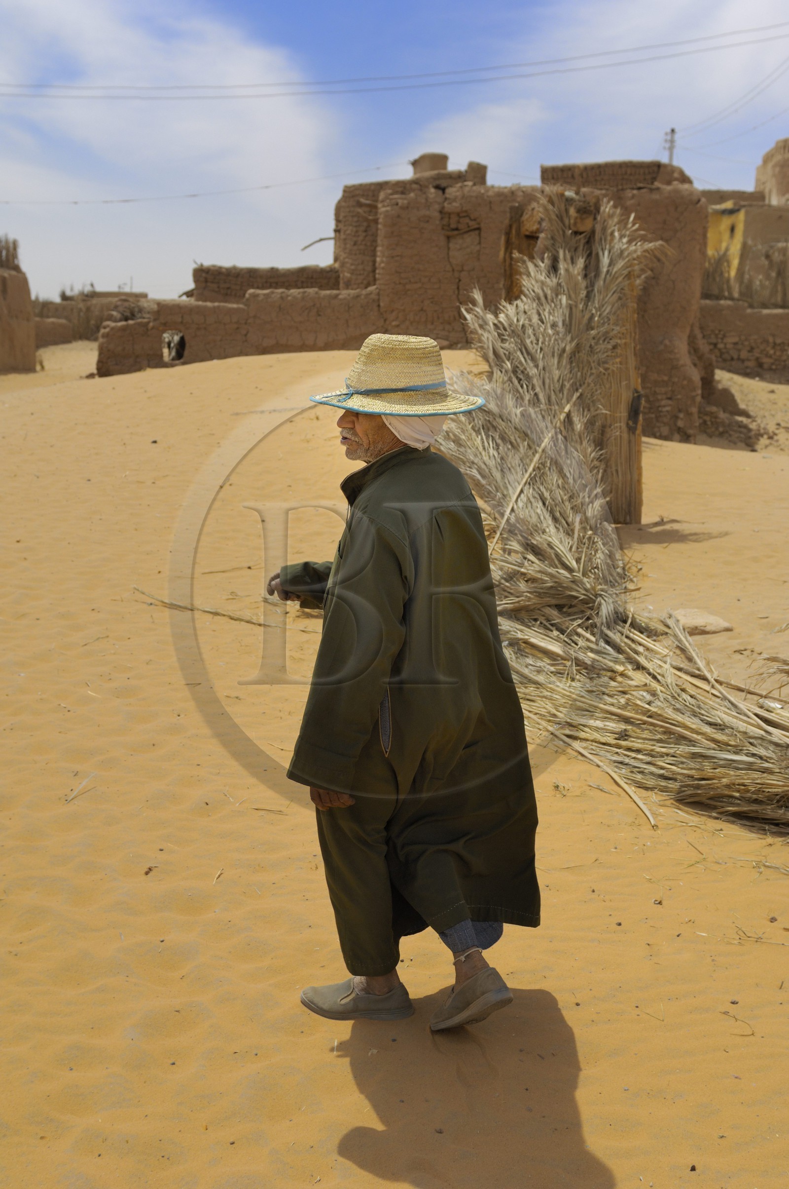 Egypte, désert libyque, oasis de Dakhla, le village de Eshbet Bashendi (Bashandi)