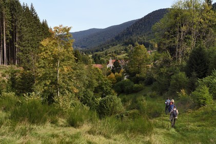 France, Vosges (88), Le Valtin, randonnée dans la vallée du Valtin dans la haute-vallée de la Meurthe sur le sentier des panoramas du Valtin