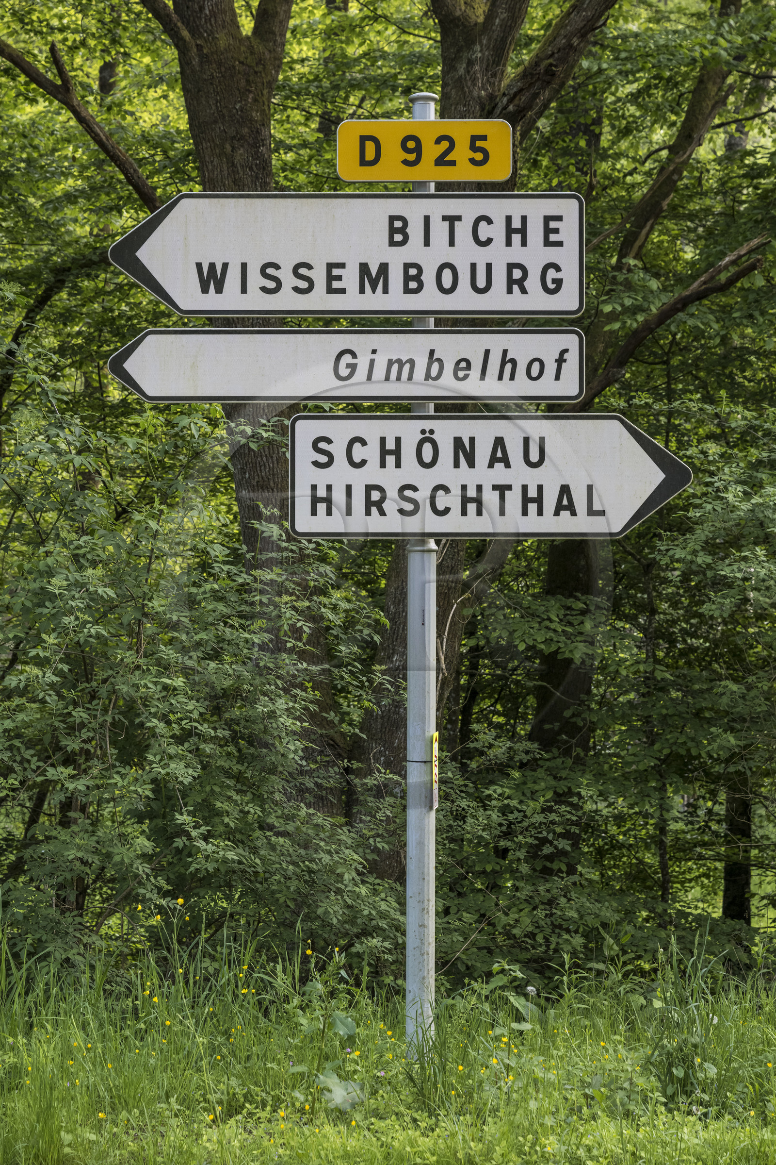 France, Bas-Rhin (67), Parc naturel régional des Vosges du Nord, Lembach, panneaux de signalisation