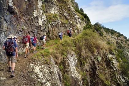 Portugal, Ile de Madère, randonnée de Machico à Porto da Cruz par le Vereda do Larano, randonneurs sur le sentier taillé à flanc de paroi dans la falaise de Larano