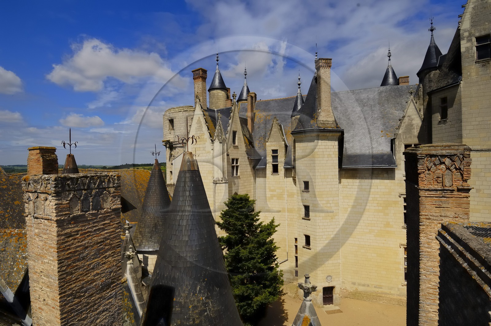 France, Maine et Loire (49), château de Montreuil-Bellay