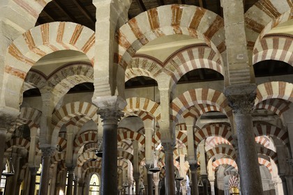 Espagne, Andalousie, Cordoue, centre historique classé Patrimoine Mondial de l'UNESCO, la Mezquita, mosquée-cathédrale, la forêt d'arcs et de colonnades illustre la monumentalité de l'Art omeyyade de Cordoue