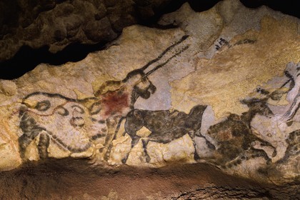 France, Dordogne (24), Périgord Noir, vallée de la Vezère, Montignac-sur-Vézère, Grotte de Lascaux II, reconstitution du site préhistorique et grotte ornée classés Patrimoine Mondial de l'UNESCO, animal surnommé La Licorne