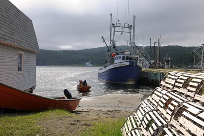 Canada, province de Terre-Neuve et Labrador, Ile de Terre-Neuve, fjord de Corner Brook, sur les traces du capitaine Cook, village de pêcheurs Frenchman's Cove