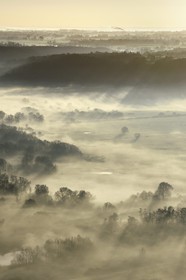France, Calvados (14), La Rivière-Saint-Sauveur, la campagne au pied du Pont de Normandie à l'aube