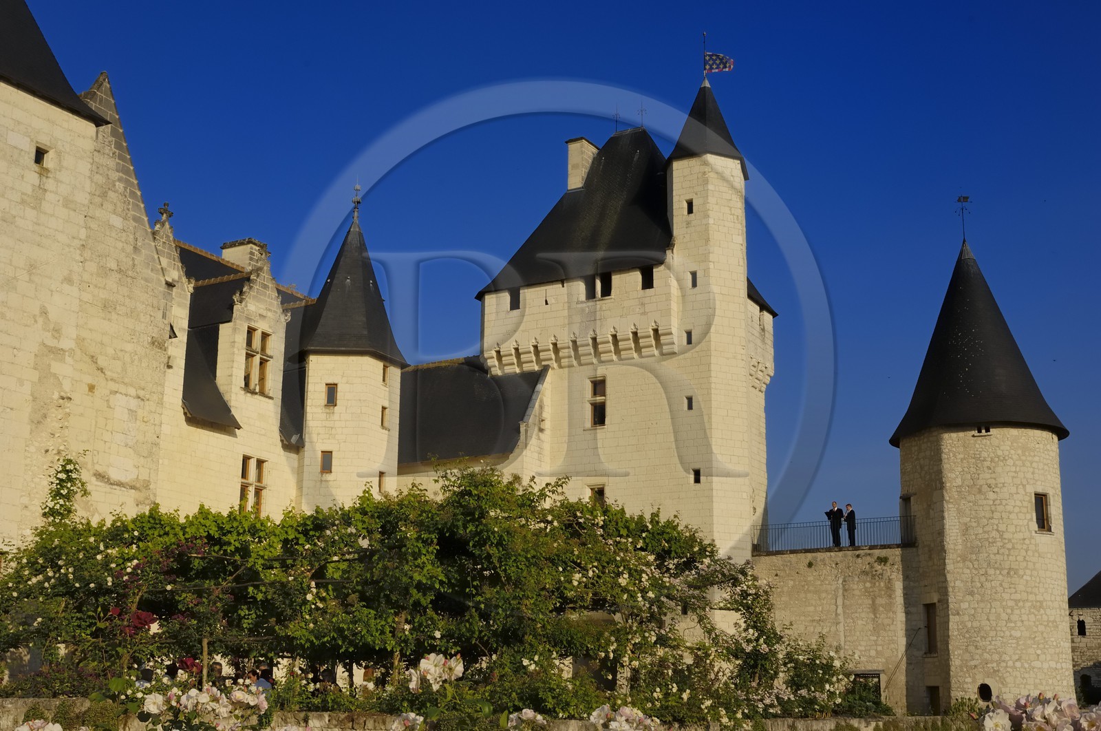 France, Indre et Loire (37), château du Rivau