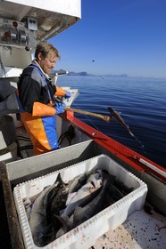 Norvège, Nordland, Îles Lofoten, pêche à la ligne professionnelle