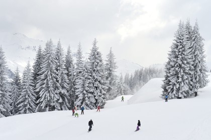 France, Haute-Savoie (74), Morzine