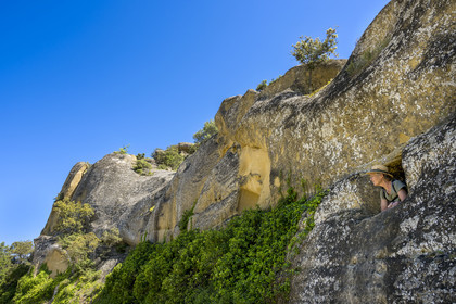 France, Vaucluse (84), Dentelles de Montmirail, Beaumes-de-Venise, le Rocher Rocalinaud, curiosité géologique en grès et habitat troglodytique du néolithique au moyen-âge