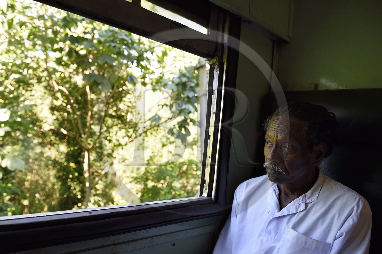 Sri Lanka, Province d'Uva, trajet en train dans la région montagneuse de la culture du thé entre Badulla et Ella