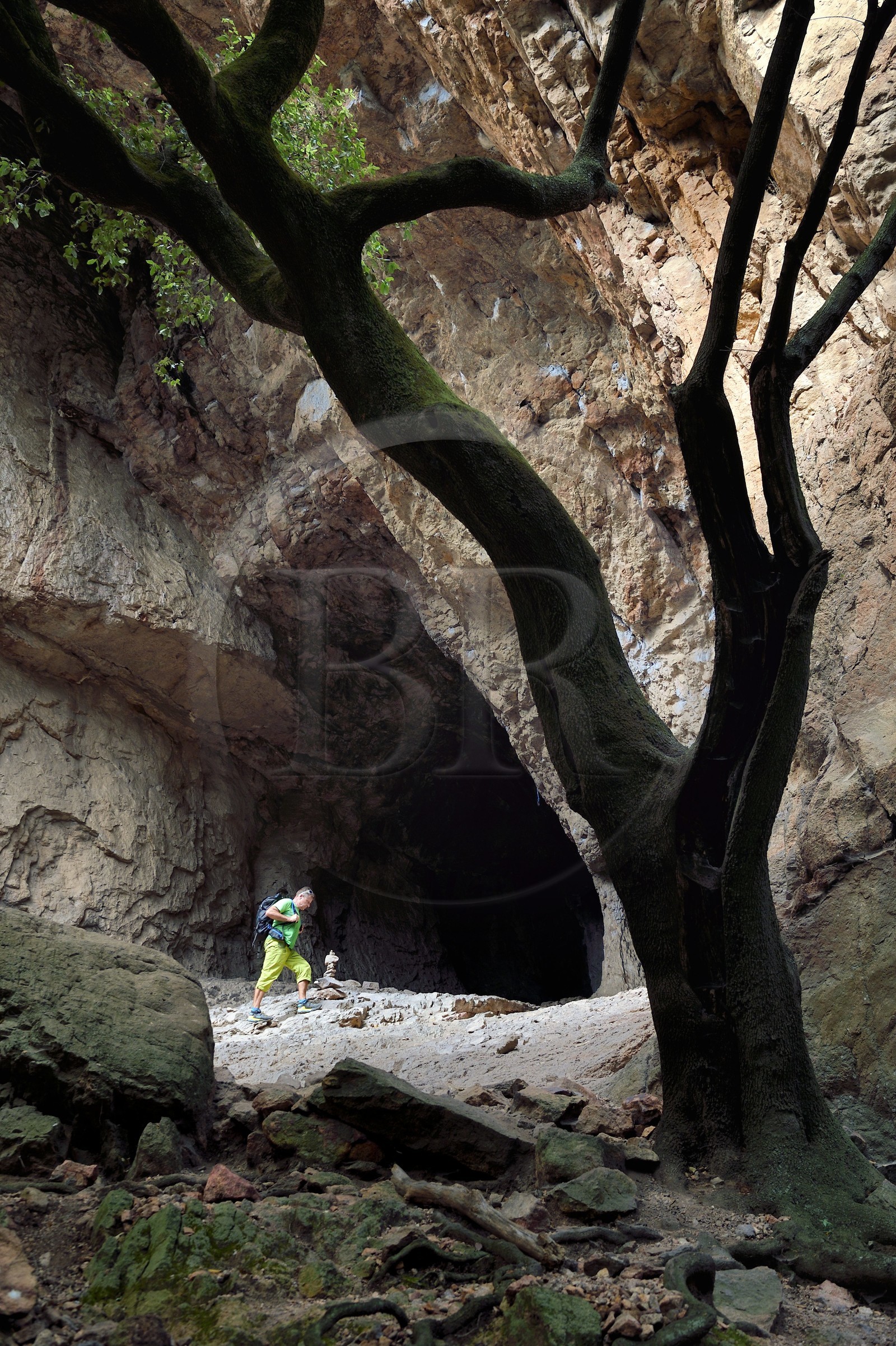 France, Var (83), entre Bagnols-en-Forêt et Roquebrune-sur-Argens, randonnée dans les Gorges du Blavet, la grotte du Muéron, habitat préhistorique, le guide accompagnateur Eric Gorlet