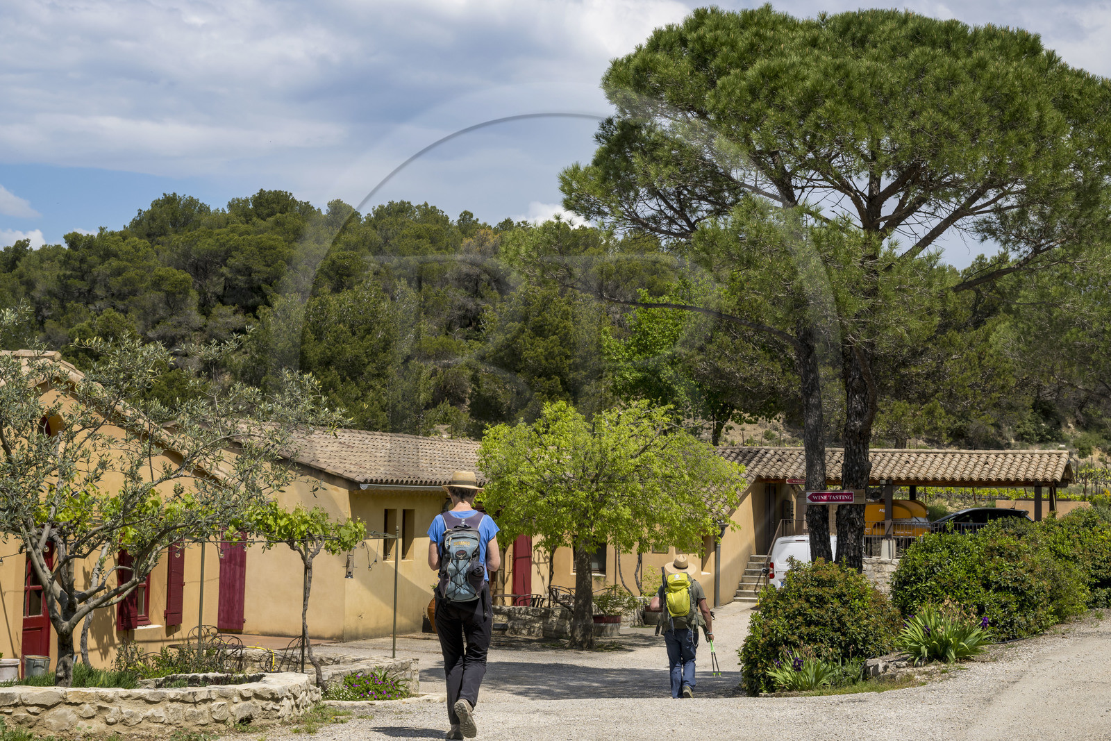 France, Vaucluse (84), Dentelles de Montmirail, Séguret, Domaine viticole de Mourchon