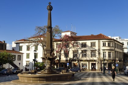 Portugal, Ile de Madère, Funchal, praca do municipio