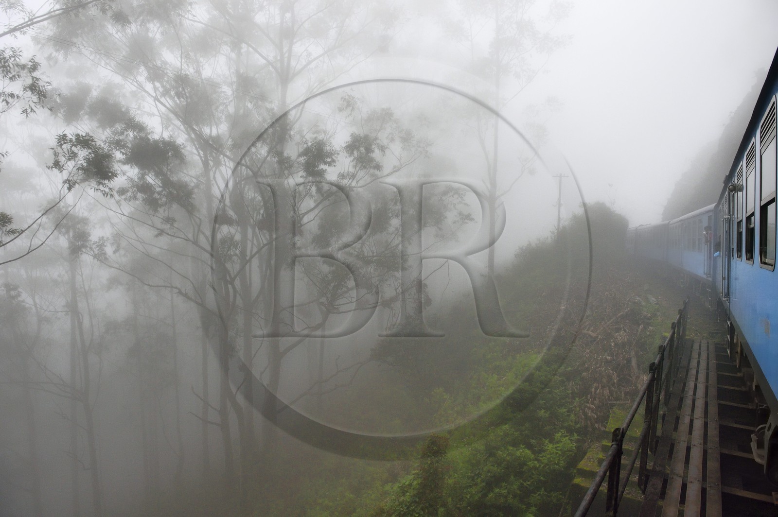 Sri Lanka, Province d'Uva, trajet en train dans la région montagneuse de la culture du thé entre Hatton et Badulla, en bordure de la forêt de nuages du parc national de Horton Plains