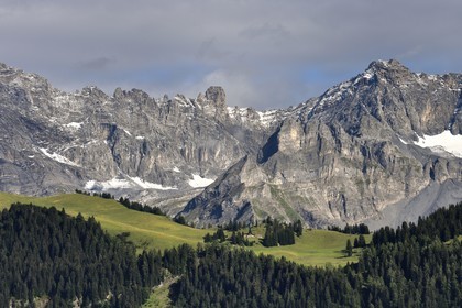 Suisse, canton de Vaud, Villars-sur-Ollon, panorama sur le massif de l'Argentine surplombant Solalex