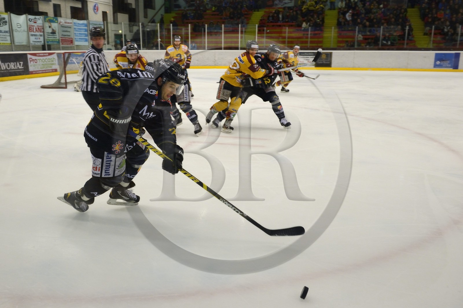 France, Haute-Savoie (74), Morzine, match de hockey sur glace du Hockey Club Morzine-Avoriaz appelé les Pingouins