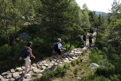 Norvège, Rogaland, région du Lysefjord, chemin de randonnée menant au Rocher de La Chaire (Preikestolen)