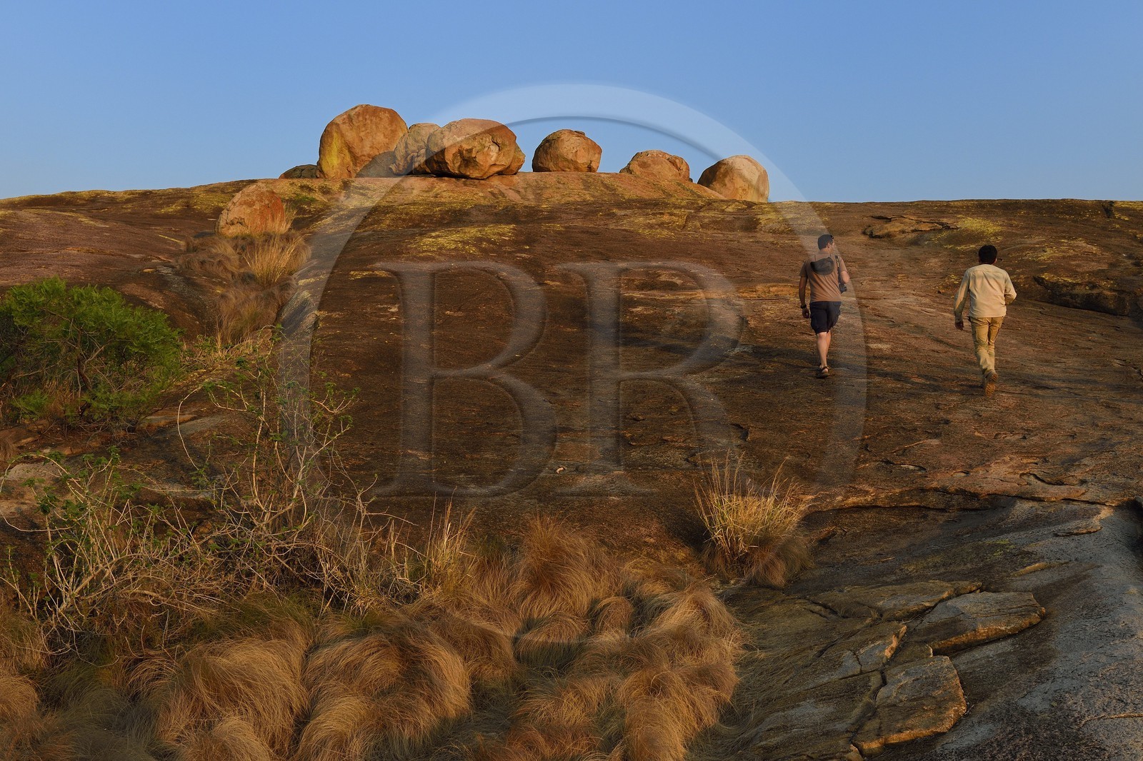Zimbabwe, province de Matabeleland méridional, Matobo ou Matopos Hills National Park, classé Patrimoine Mondial de l'UNESCO, formations rocheuses sur la colline de Malindidzimu (demeure des esprits bienveillants) au sommet de View of the World où est enterré Cecil Rhodes