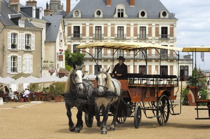 France, Loire et Cher (41), Blois, calèche sur la place du château