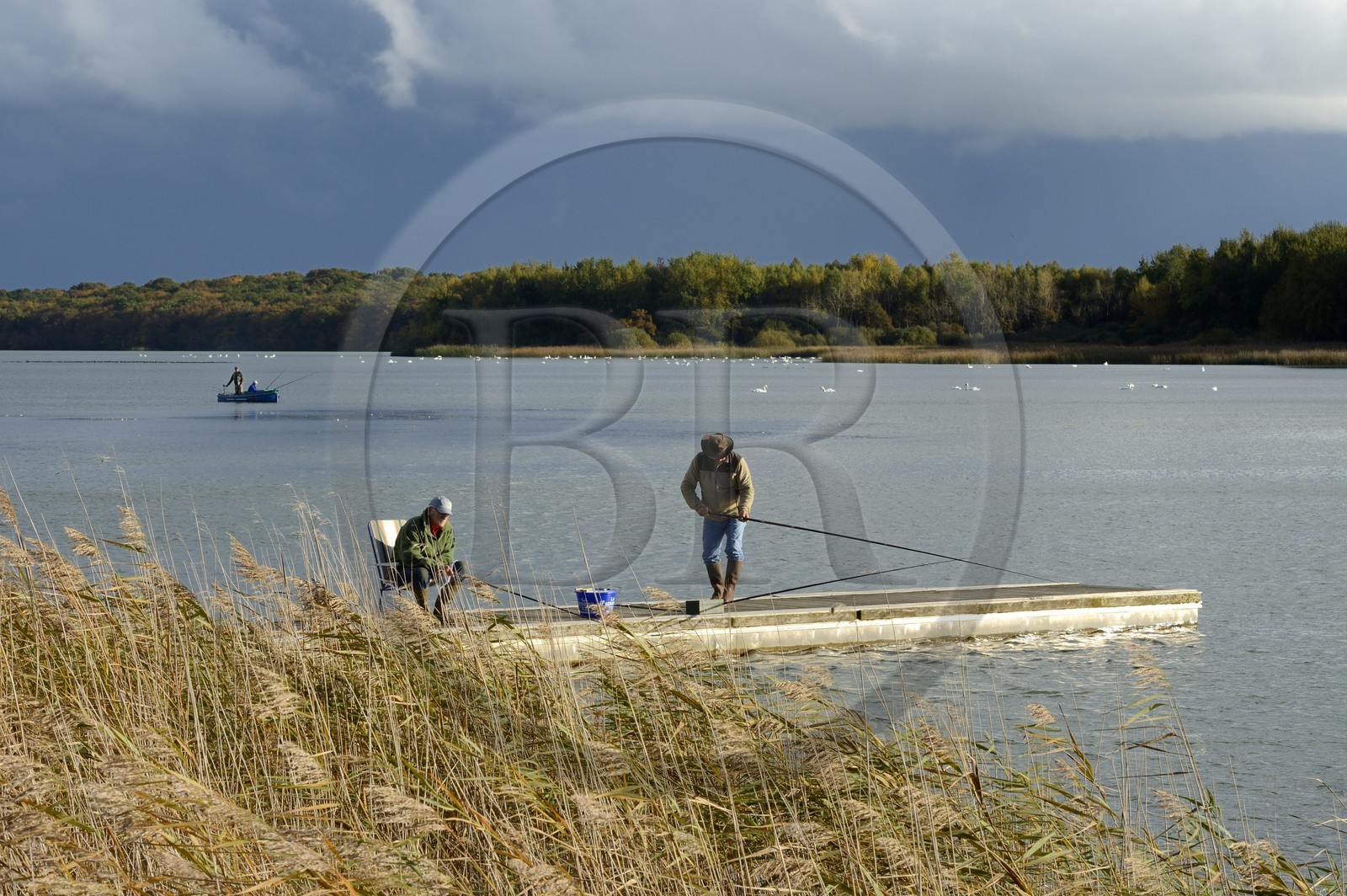 France, Meuse (55), Parc régional de Lorraine, Cotes de Meuse, Heudicourt-sous-les-Côtes, pêcheurs sur le lac de la Madine