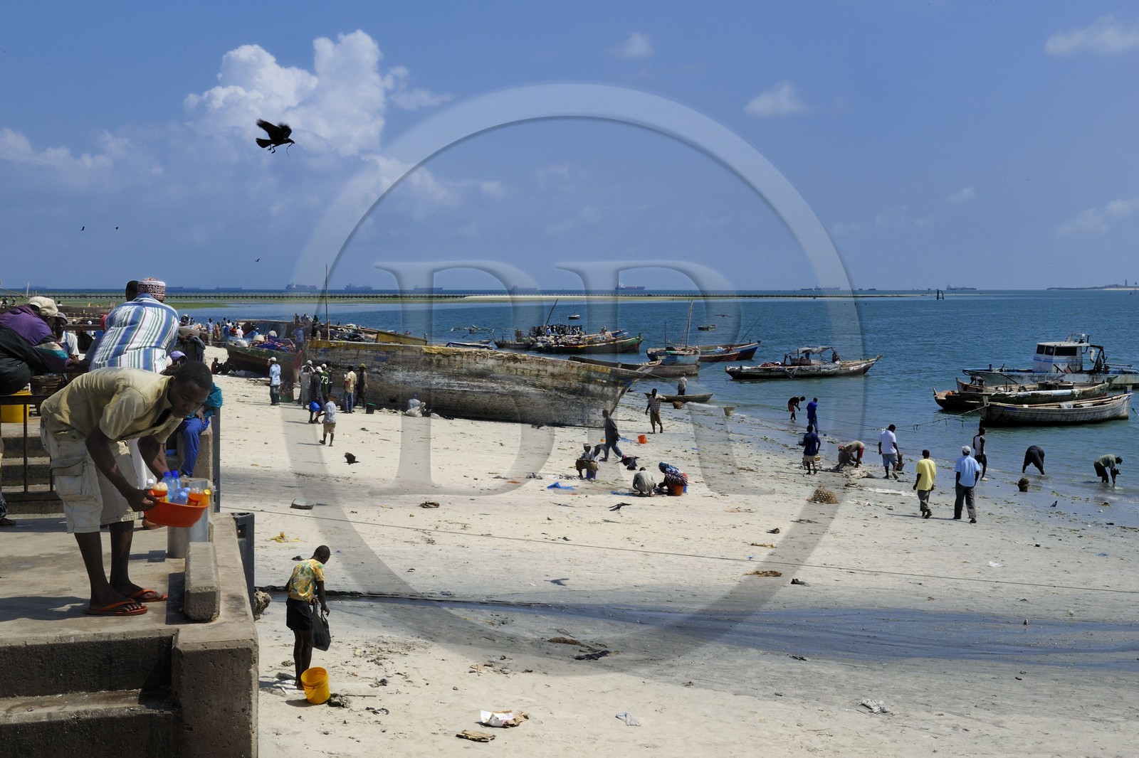 Tanzanie, Dar es-Salaam, intense activité de réparation de coques et de filets sur la plage desservant le marché aux poissons de Kivukoni