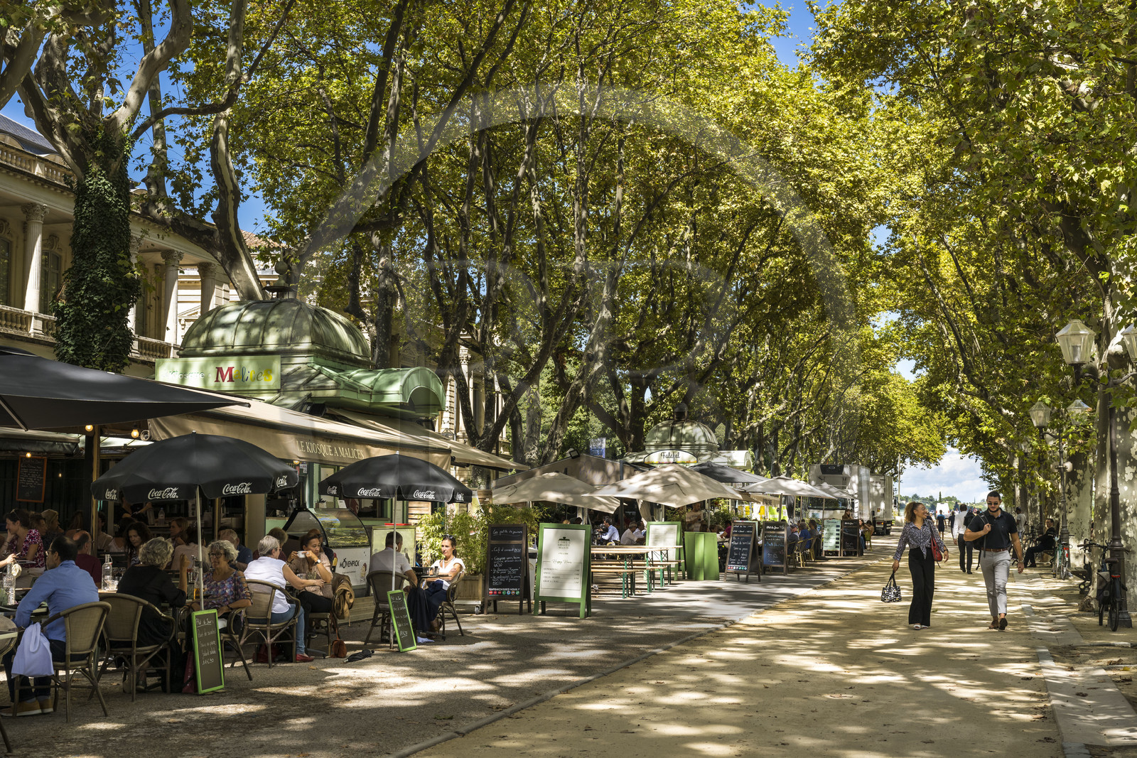 France, Hérault (34), Montpellier, Esplanade Charles-de-Gaulle, kiosques et promeneurs sous les platanes