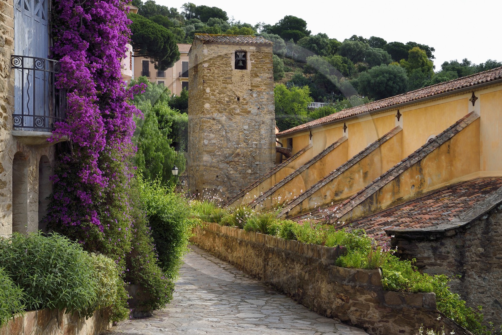 France, Var (83), Bormes-les-Mimosas, rue piétonne de la vieille ville derrière l'église Saint-Trophyme