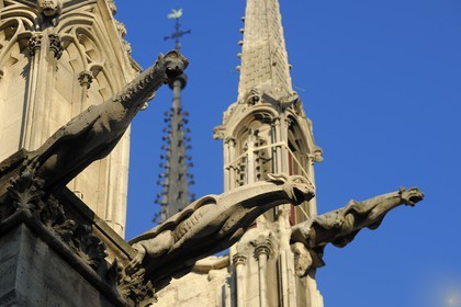 France, Paris (75), Ile de la Cité, cathédrale Notre-Dame de Paris, gargouilles de la façade nord